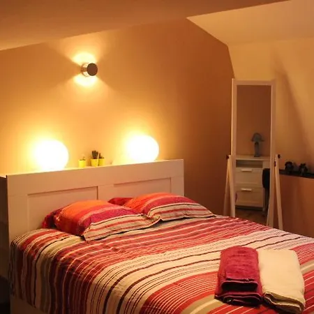 Apartament Grenier Des Lumieres Nancy