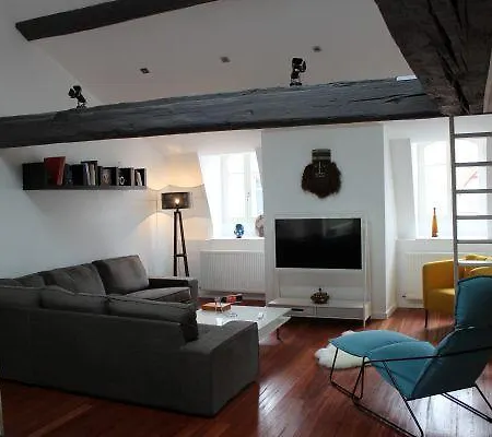 Apartament Grenier Des Lumieres Nancy